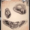 Wiser's Airbrush TattooPro Stencil – Owls -Superstar Verkoop wiser s airbrush tattoo pro stencil owls71066