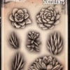 Wiser's Airbrush TattooPro Stencil – Succulents -Superstar Verkoop wiser s airbrush tattoopro stencil succulents73db4
